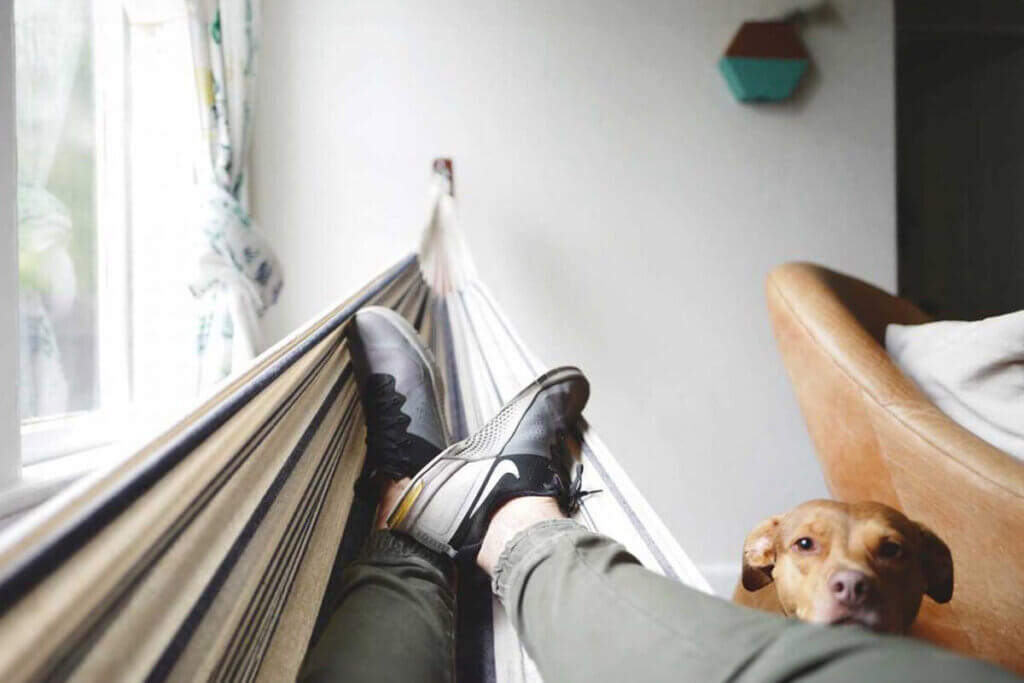 A person lying in a hammock, enjoying the company of a dog.